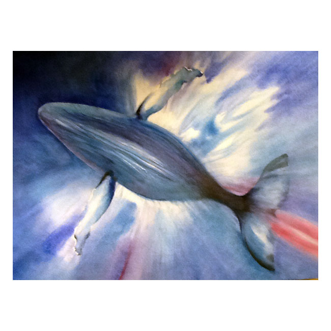 Ballena Azul Acuarela