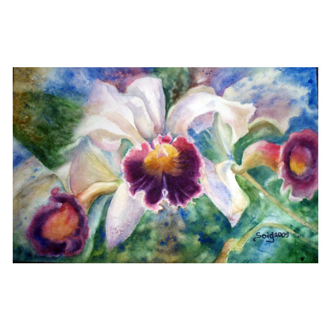 Orquideas acuarela