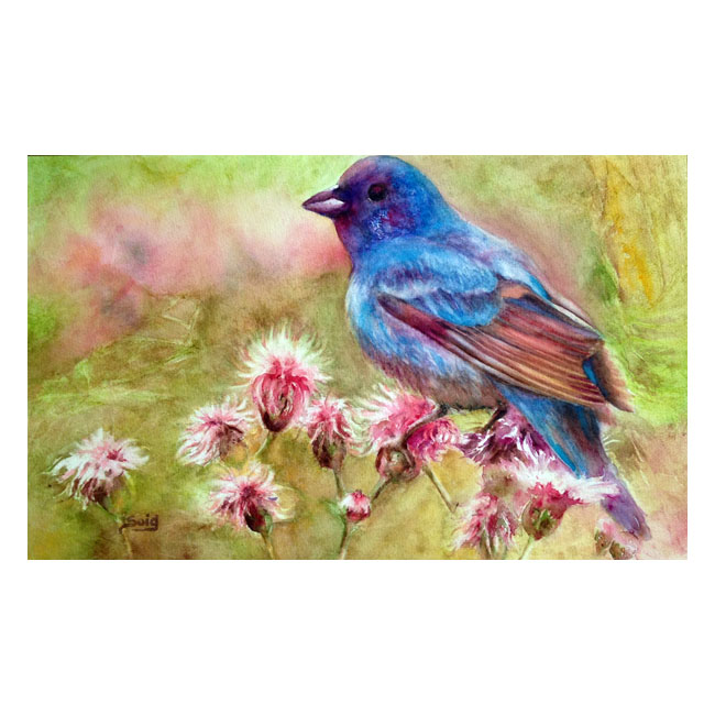 Pajarito acuarela